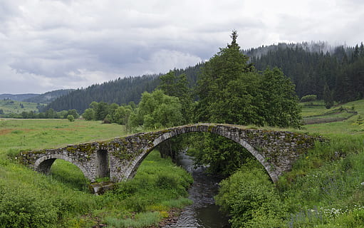 bridge, stone, arched, arches, old, landscape, water, nature HD wallpaper