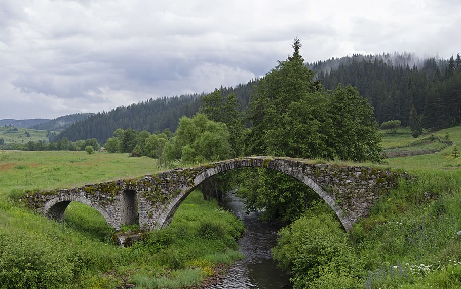 bridge, stone, arched, arches, old, landscape, water, nature HD wallpaper