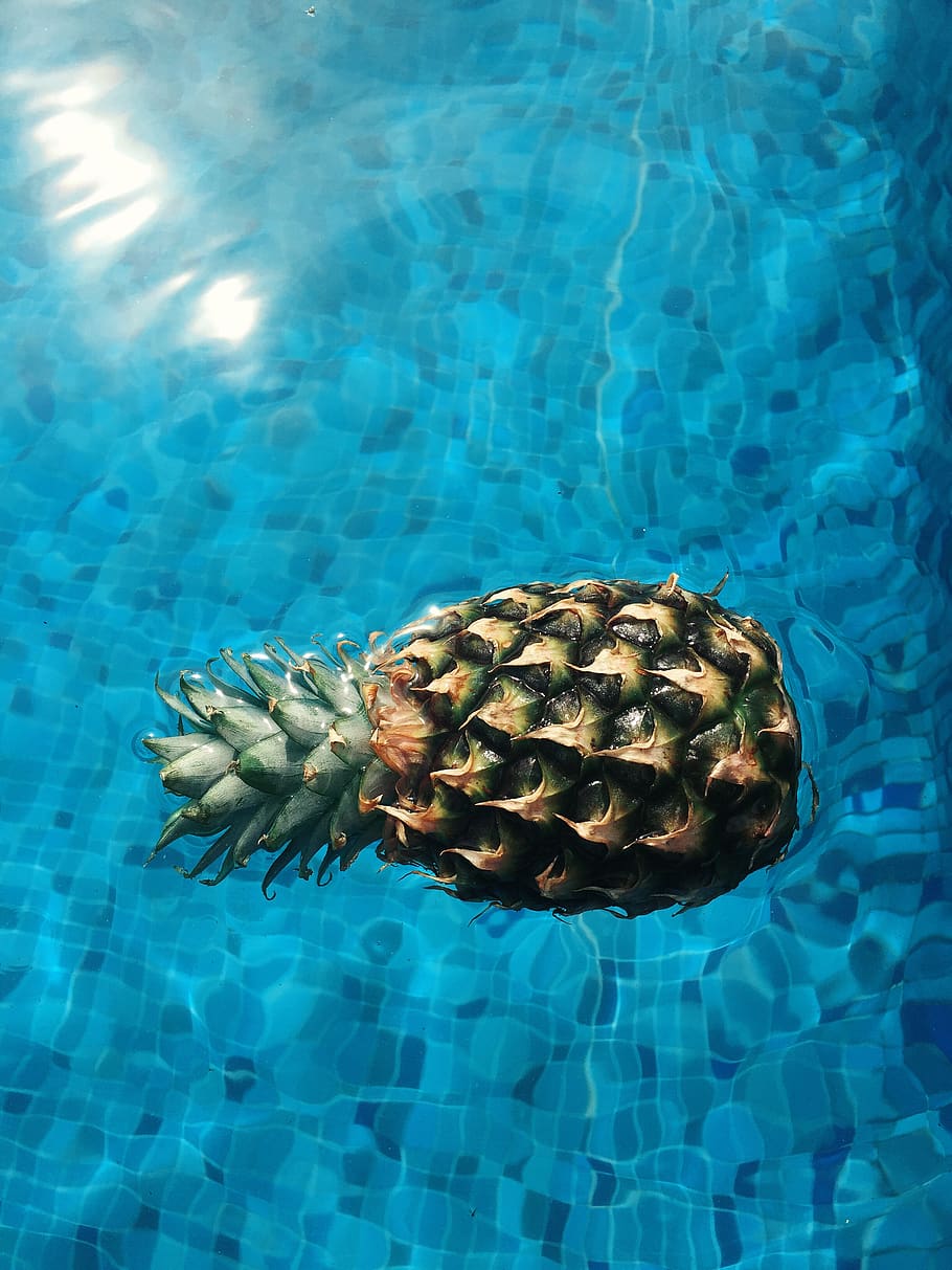 plant, pineapple, fruit, food, water, mexico, quintana roo