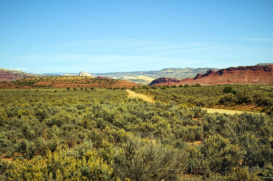 paria road, desert, grand, staircase, escalante, national, monument HD wallpaper