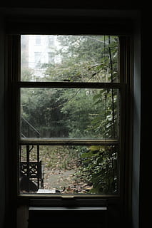closed clear glass window in front of plants, lowkey, dark, quiet HD wallpaper