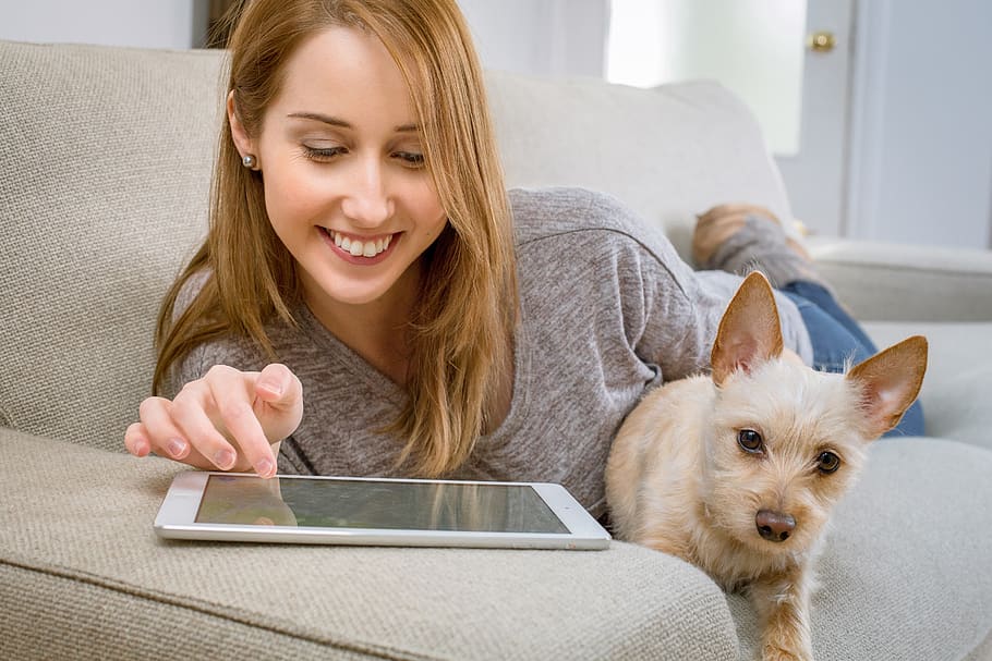 Woman Using White Tablet Computer, activity, adult, cute, dog HD wallpaper