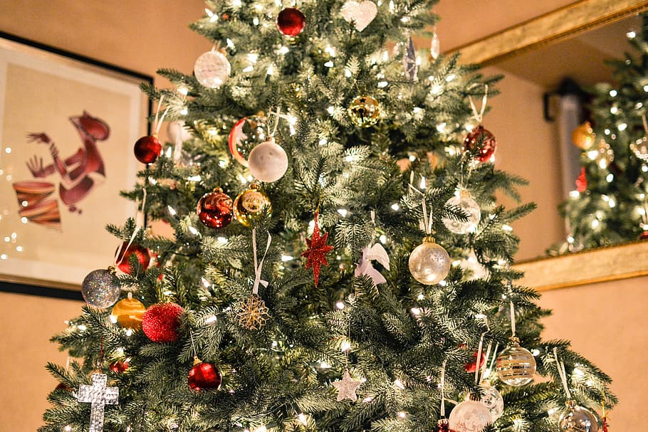 shallow focus photography of green Christmas tree, ornament, christmas light