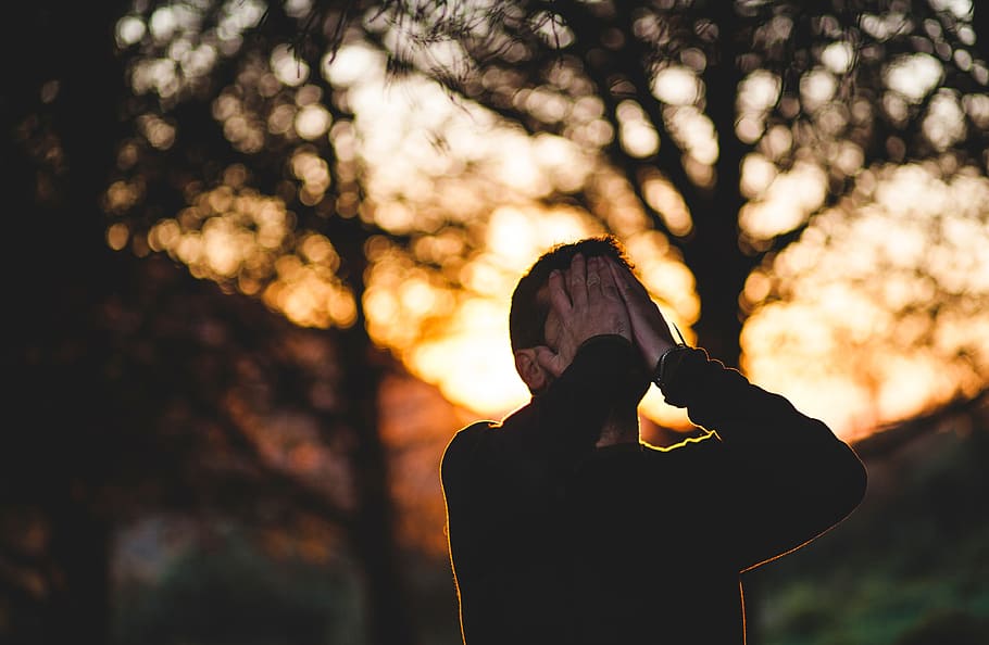 people, man, cry, sad, tree, sunset, bokeh, outdoor, one person HD wallpaper