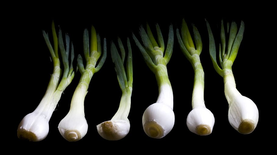 onion, black, studio shot, vegetable, black background, food HD wallpaper