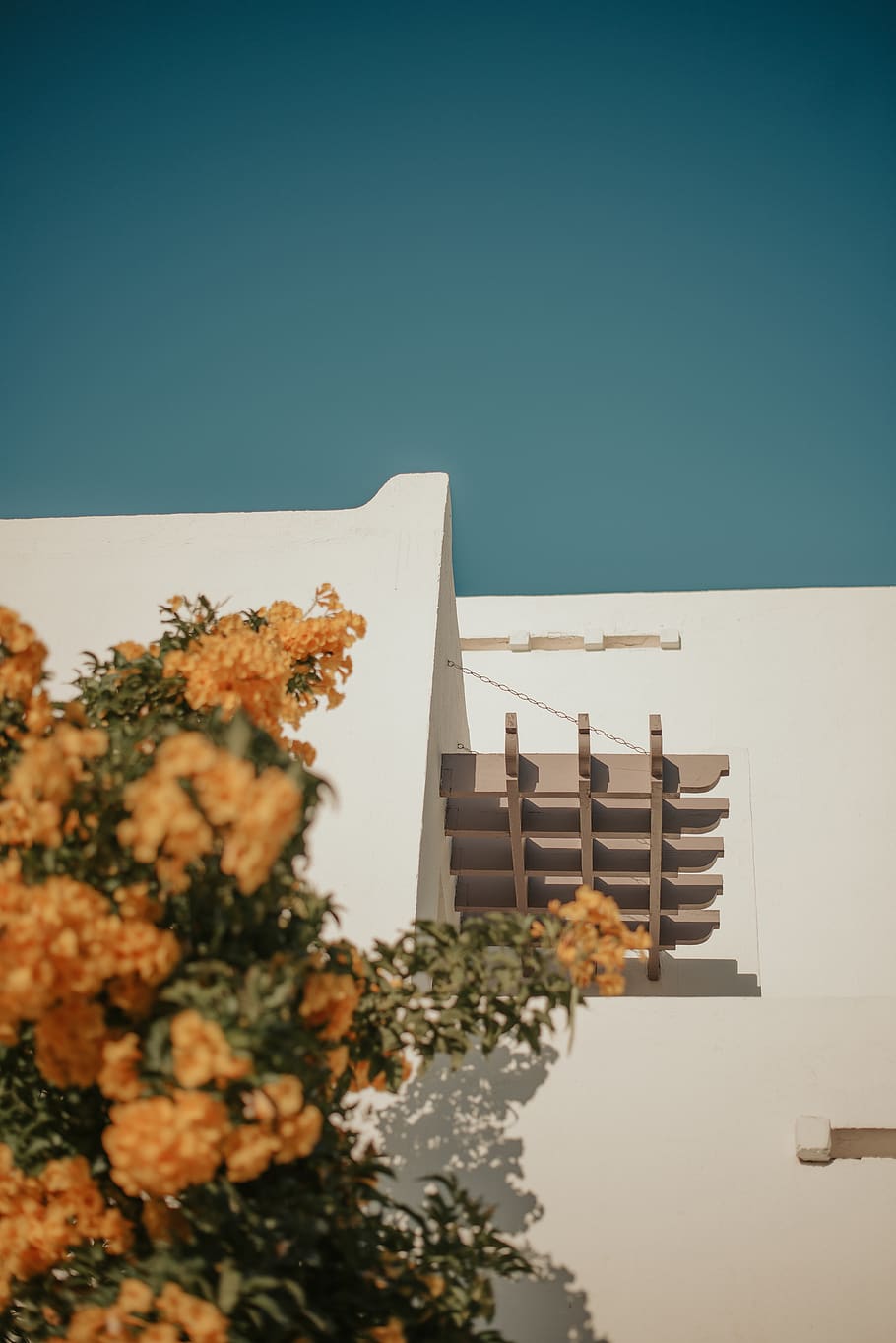 Brown Wooden House With Flowers, architectural design, architecture HD wallpaper