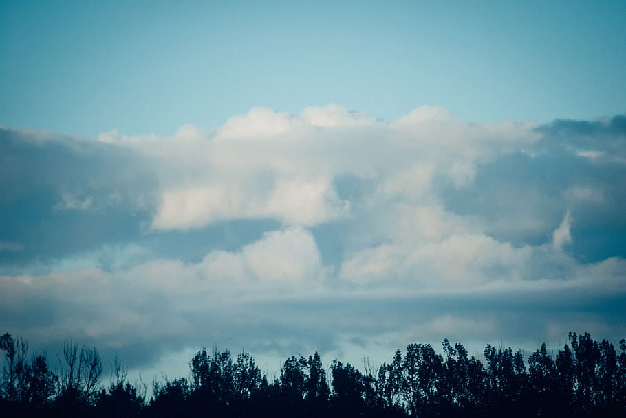 blue, sky, clouds, tree line, silhouette,, cloud - sky, beauty in nature HD wallpaper