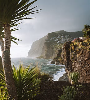 Island Landscape, agave, beach, coast, daylight, exotic, Madeira HD wallpaper