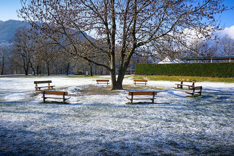 park, benches, mountain, snow, tree, outdoor, winter, cold HD wallpaper
