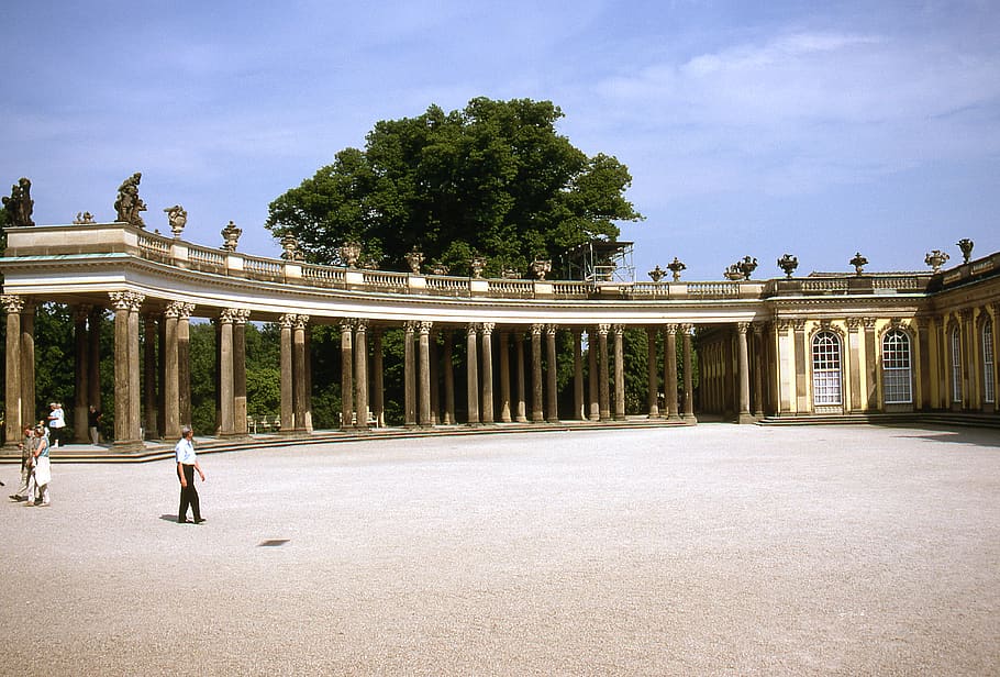 germany, potsdam, sanssouci, palace, architecture, tree, built structure HD wallpaper