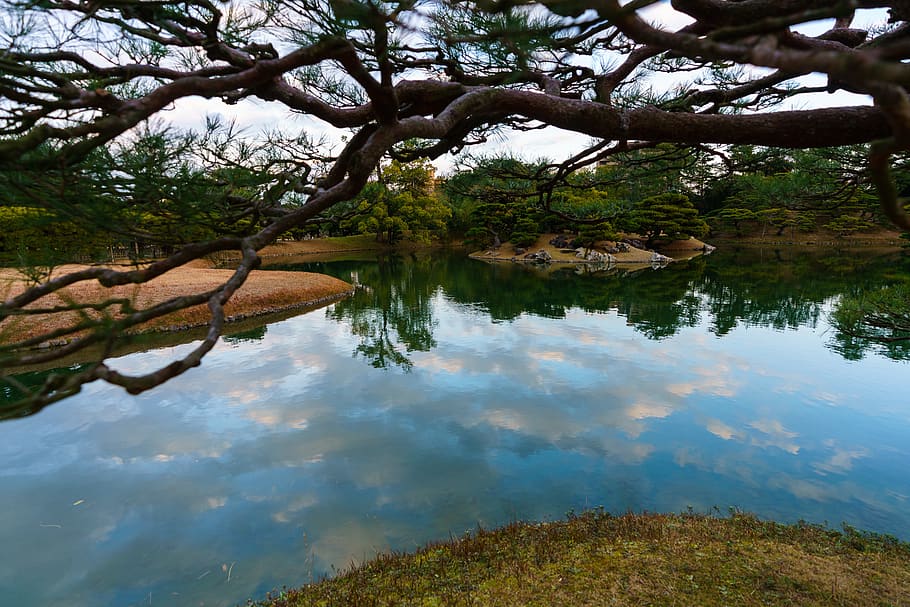 japan, takamatsu, garden, water, tree, reflection, plant, lake