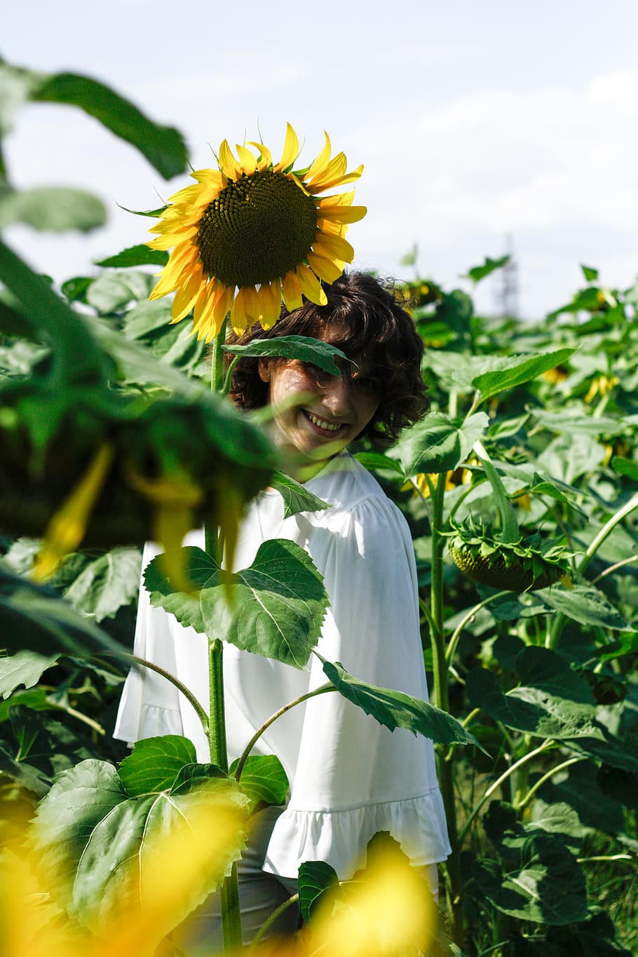 Woman Standing on Sunflower Field, beautiful, bloom, blooming HD wallpaper