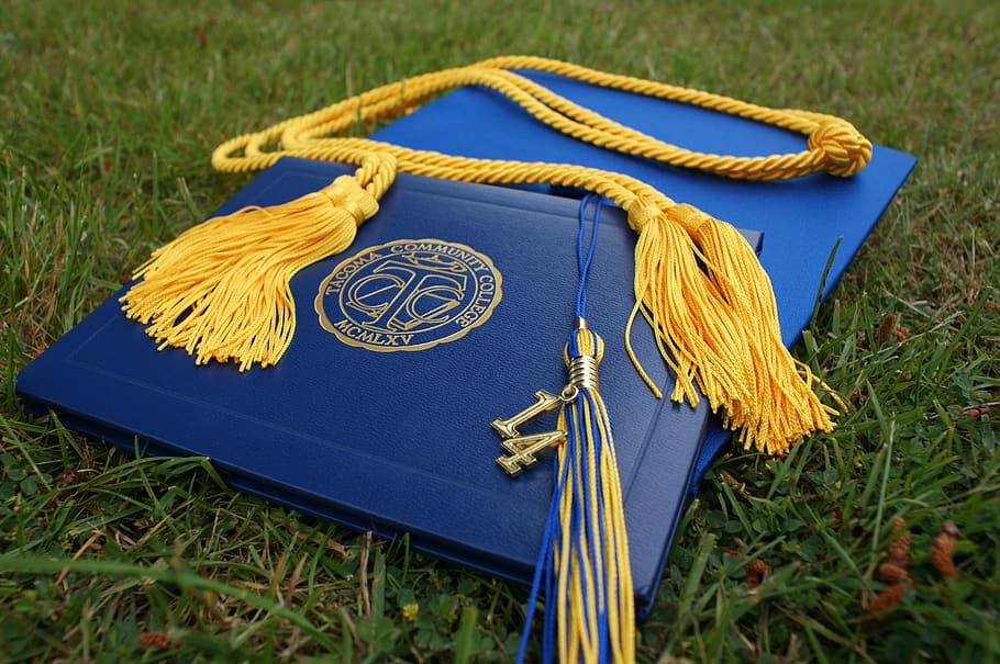 Diploma and Square Academic Hat on Grass Field, cap, celebration HD wallpaper