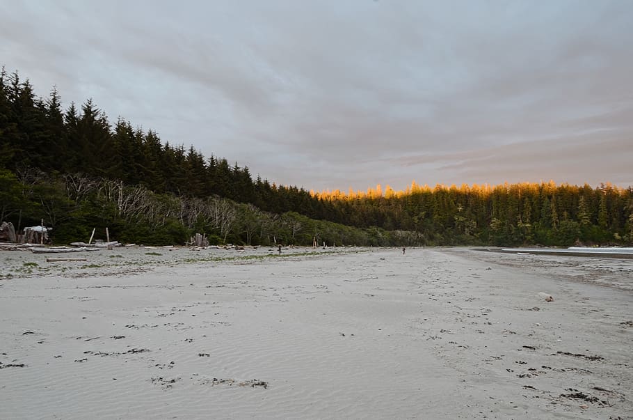 bamfield, canada, sky, sand, westcoast, british columbia, vancouver HD wallpaper