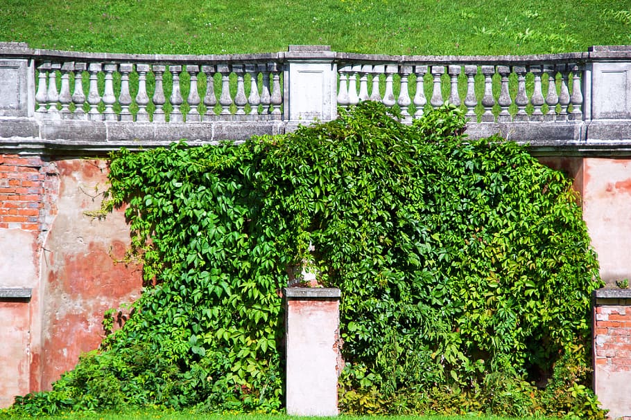wall, brick, green, old, surface, outdoor, rough, aged, brown HD wallpaper