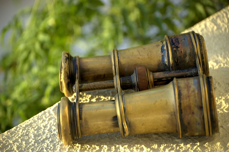 binoculars, binoculares, old, focus on foreground, tree, no people HD wallpaper
