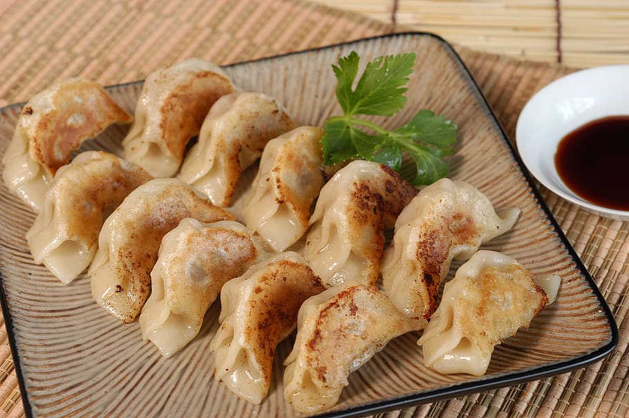 dumpling, japanese, gyoza, food, food and drink, ready-to-eat, HD wallpaper