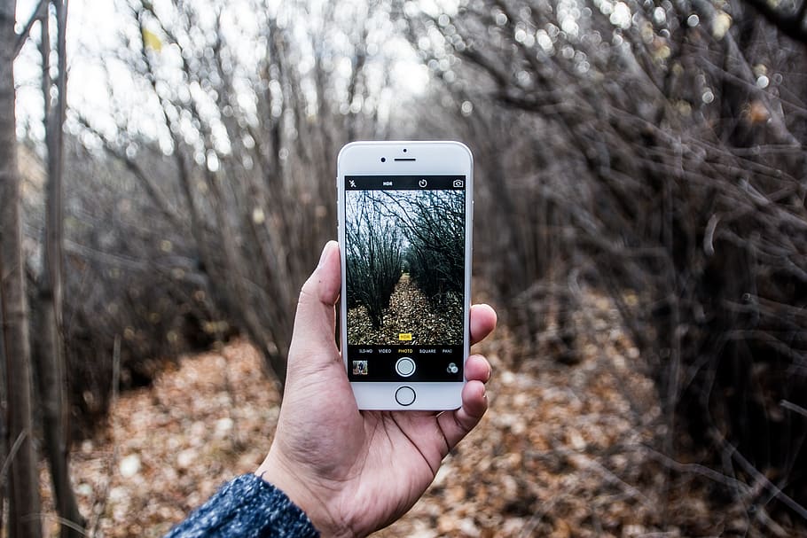 iphone, camera, picture, photography, photographer, hands, mobile HD wallpaper