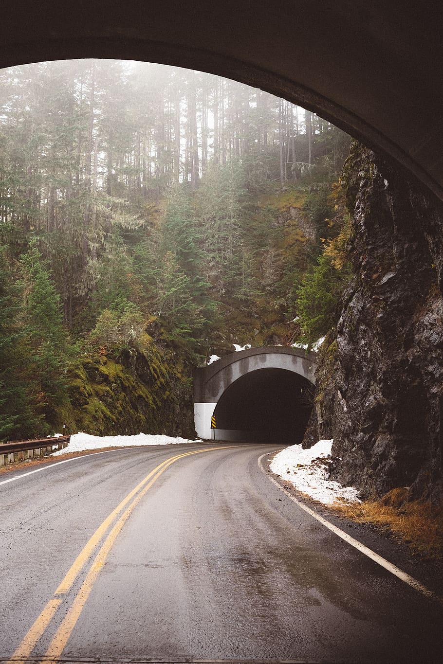 tunnel, road, trees, driving, travel, transportation, the way forward HD wallpaper