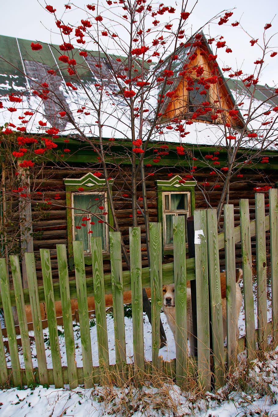 aged, cottage, countryside, fence, front, home, house, old HD wallpaper