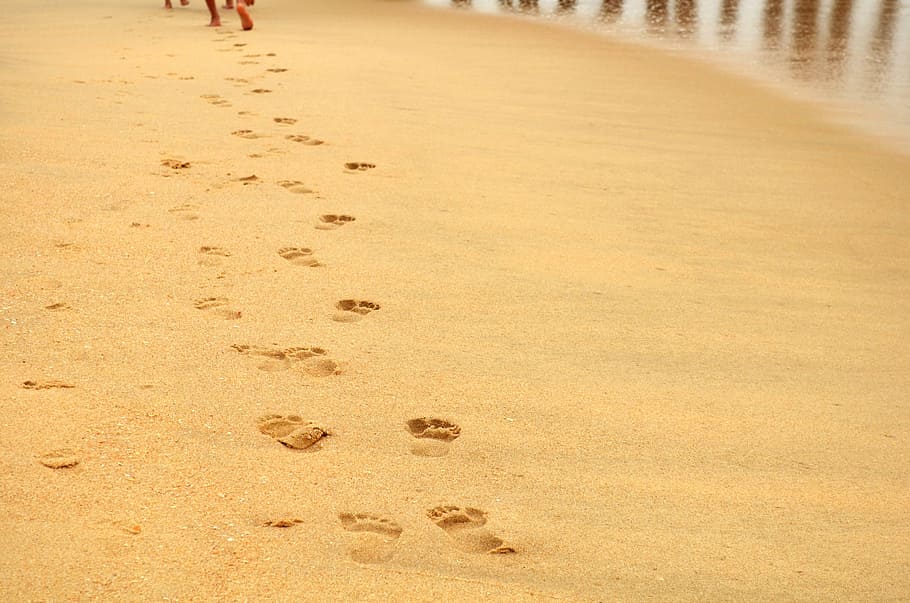 Footprints on beach, concepts, ideas, learn, leisure, nature