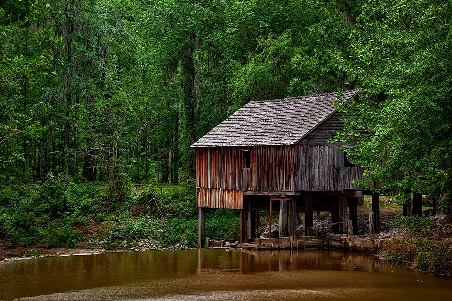 Brown Wooden Shed Surrounded by Trees, beautiful, cabin, daylight HD wallpaper