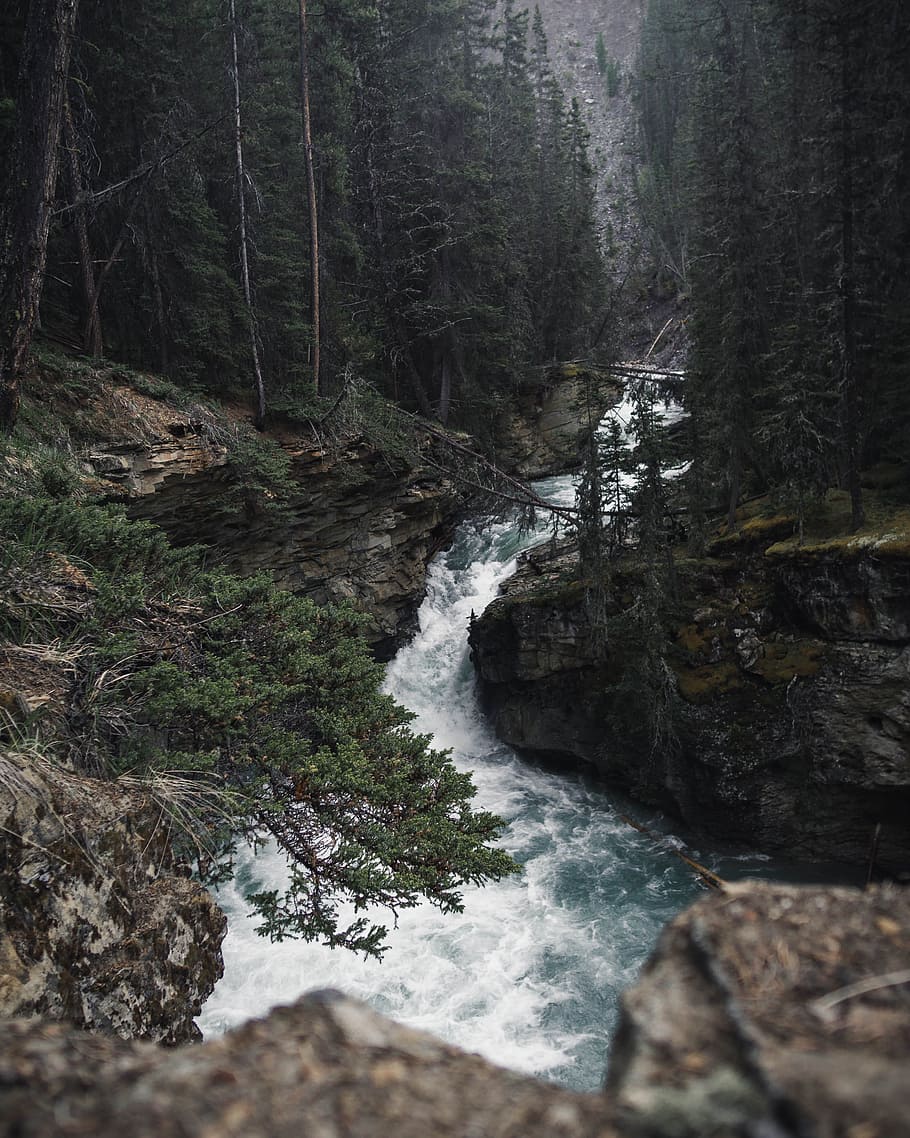 time lapse photography of river, water, rock, cliff, tree, forest HD wallpaper
