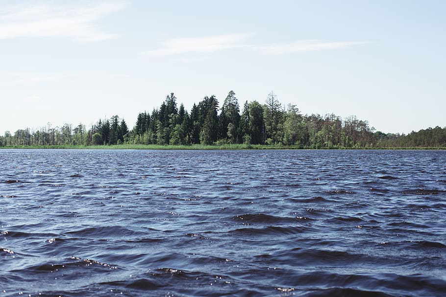 lake, forest, trees, nature, latvia, outdoors, europe, travel HD wallpaper