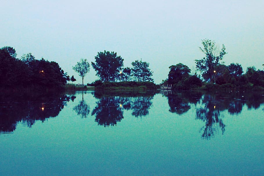 reflection, trees, water, lake, tranquility, plant, waterfront HD wallpaper