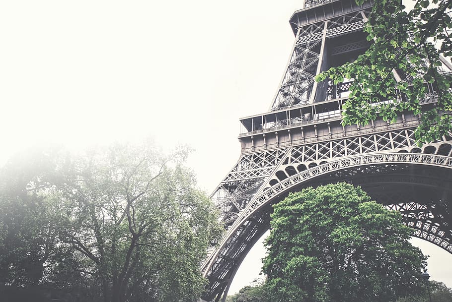 eiffel tower, architecture, trees, leaves, nature, sky, fog HD wallpaper