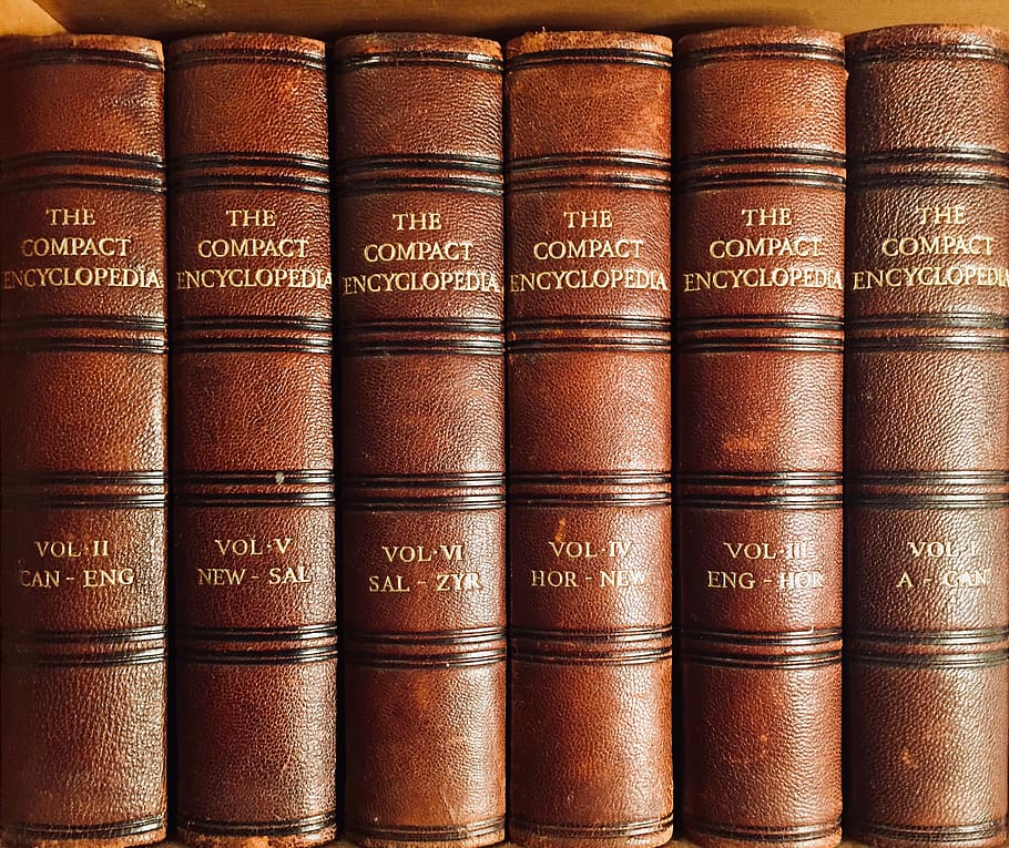 brown hardbound books, publication, library, shelf, bookshelf HD wallpaper