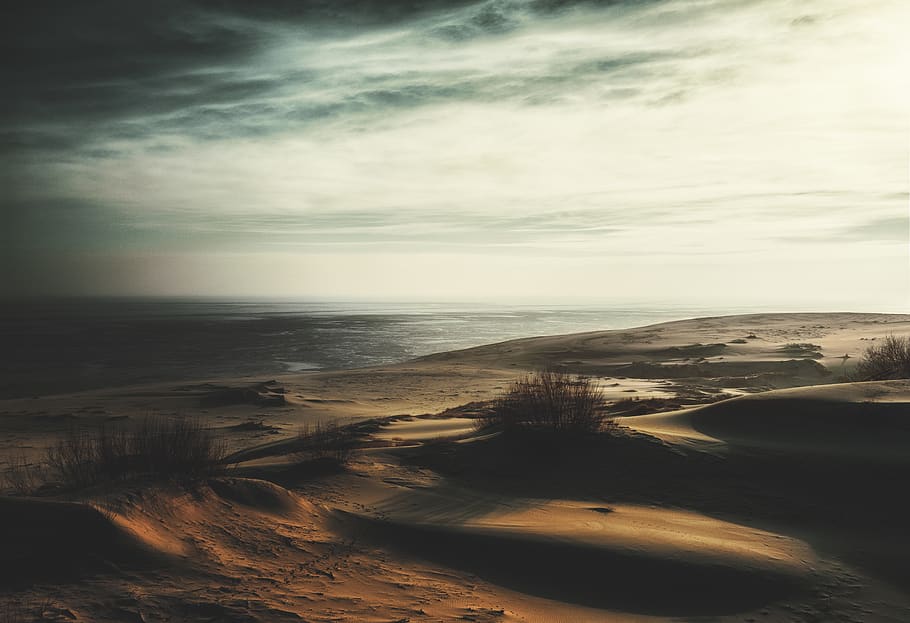 dunes, sea, sky, water, land, beach, horizon over water, beauty in nature HD wallpaper