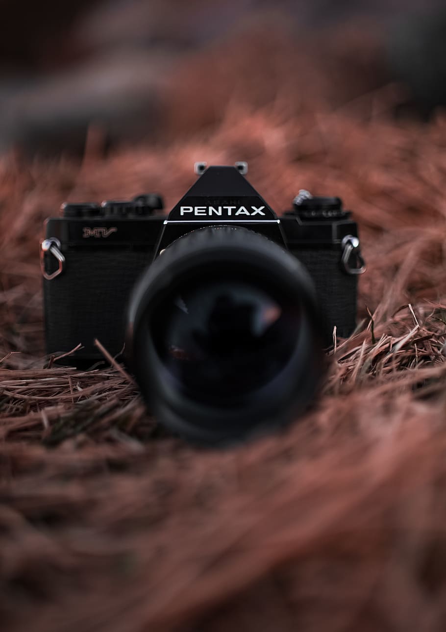 black Pentax MILC camera on top of brown grass, electronics, photography, HD wallpaper