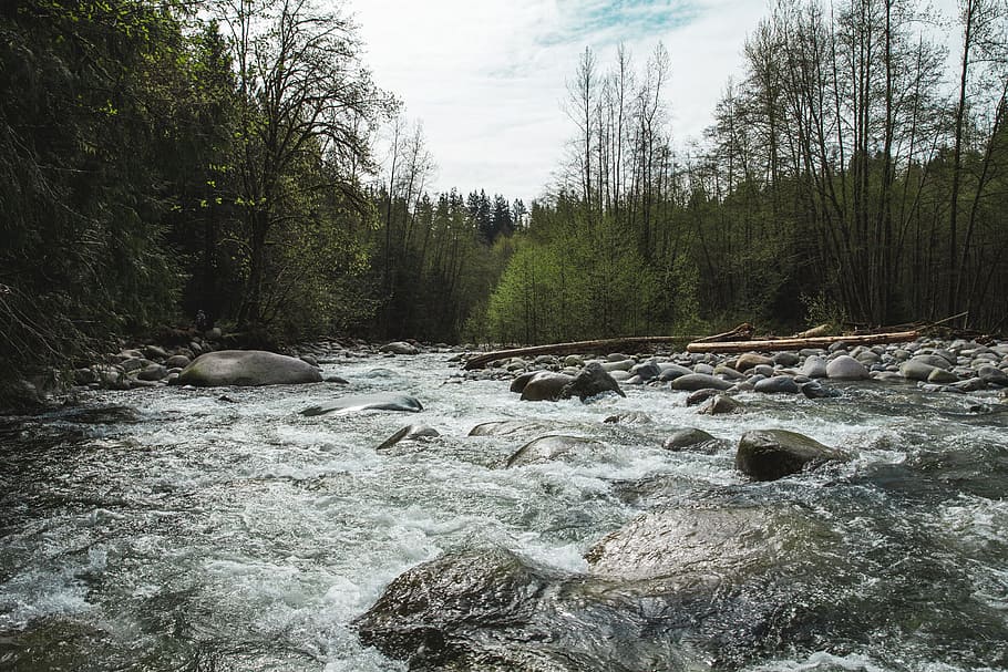 River rapids in the mountains surrounded by pebble stones and trees HD wallpaper