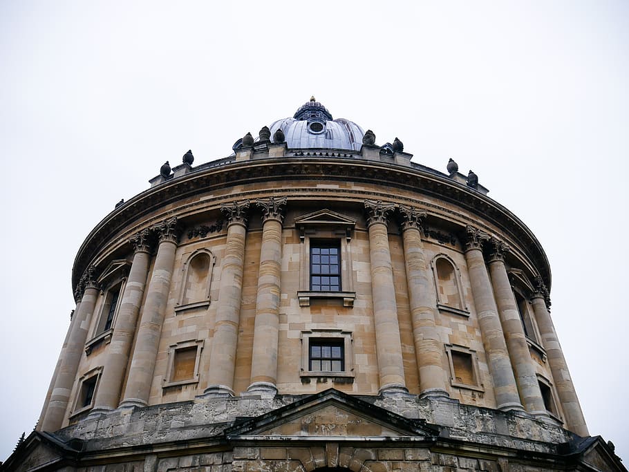 architecture, dome, animal, bird, tower, window, building, england HD wallpaper