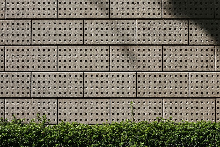 green leafed plants on gray concrete brick wall, pattern, grid HD wallpaper