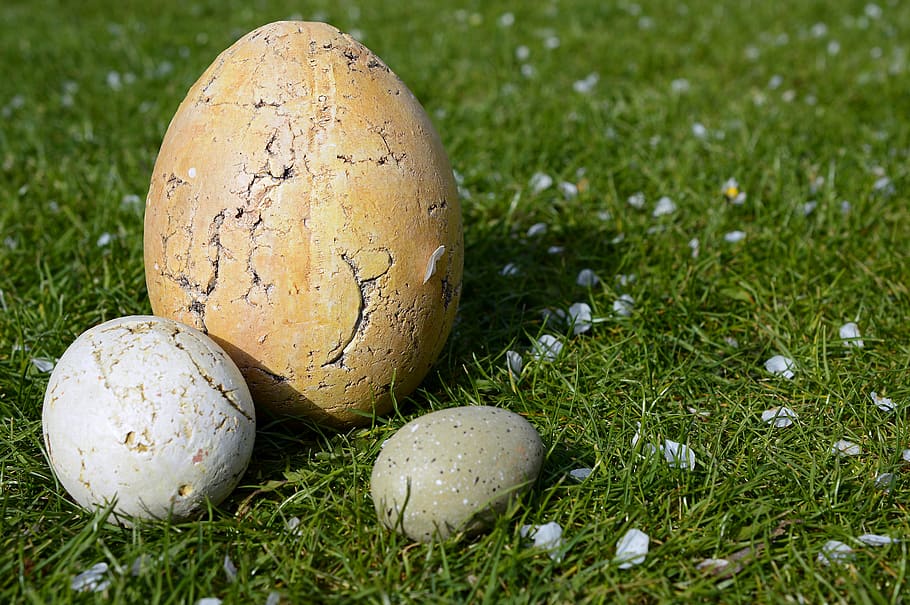 easter pictures, easter eggs, sound, pottery, meadow, grass HD wallpaper