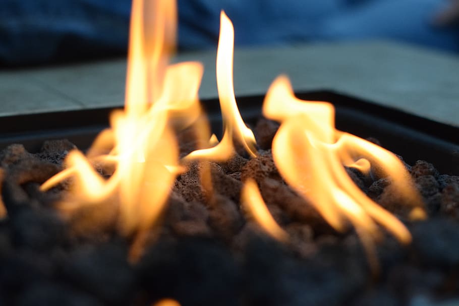 bonfire, seafood, animal, lobster, sea life, flame, vibrant, kindling HD wallpaper