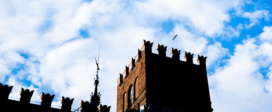 Brown, castle, clouds, nature, place, home, house, bird, sky HD wallpaper