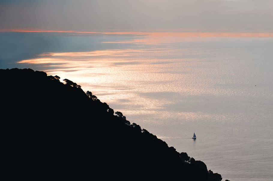 Silhouette of Trees on Mountain, backlit, beach, boat, dawn, dusk HD wallpaper
