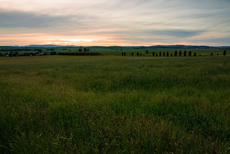 australia, victoria, sunset, fields, mountains, grass, landscape HD wallpaper