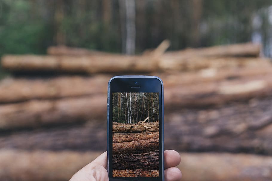 Black Iphone 5, forest, hands, nature, smartphone, taking photo HD wallpaper