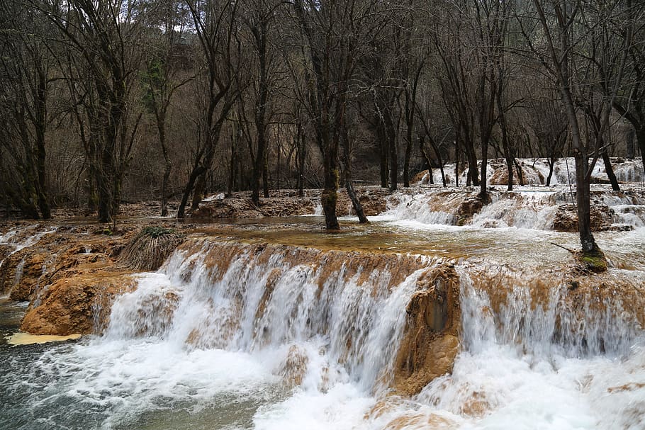 falls, jungle, water, tree, forest, motion, nature, scenics - nature HD wallpaper