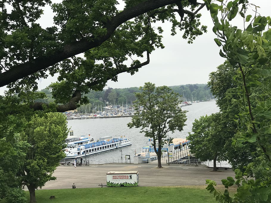 germany, berlin, tree, lake, boats, heels, plant, water, transportation HD wallpaper