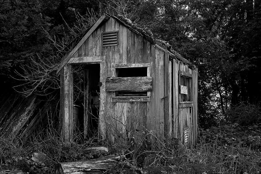 HD wallpaper: trees, forest, woods, old, shack, house, home, broken ...