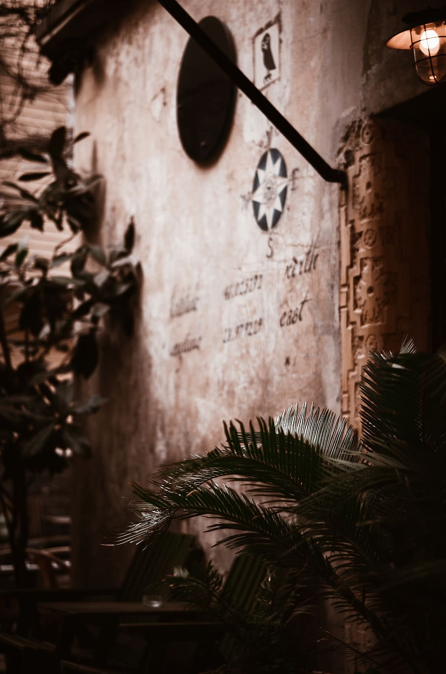 Palm Tree Near Brown Concrete Wall, abandoned, architecture, art HD wallpaper