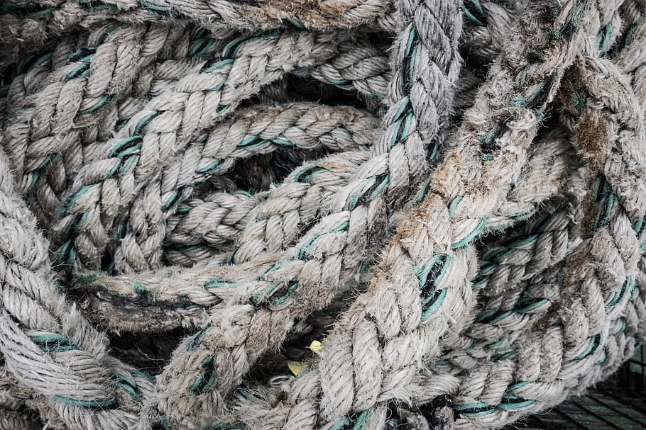 rope, industrial, string, marine, ocean, animal, snake, reptile HD wallpaper