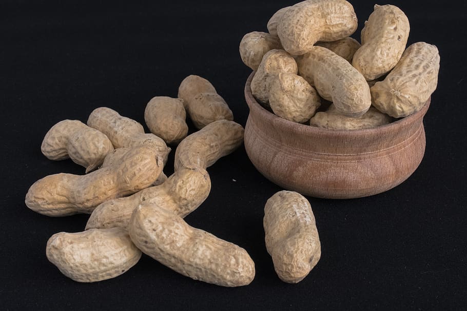 walnut, nuts, peanuts, fruit, nutrition, nutlet, healthy, illustration HD wallpaper