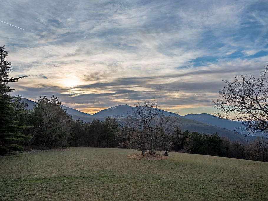 tree, plant, mountain, sky, beauty in nature, scenics - nature HD wallpaper