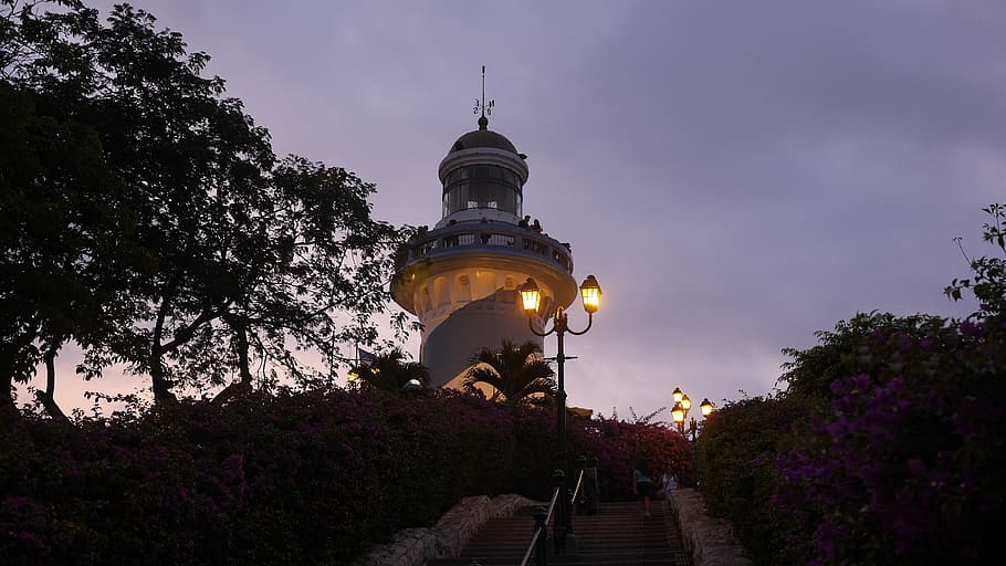 guayaquil, ecuador, lighthouse, park, peñas, night, plant